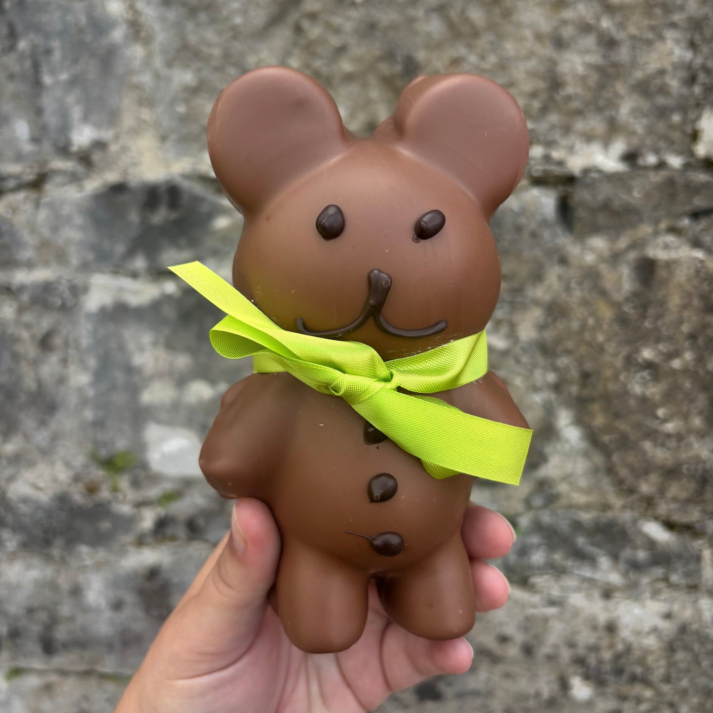 Monsieur Teddy